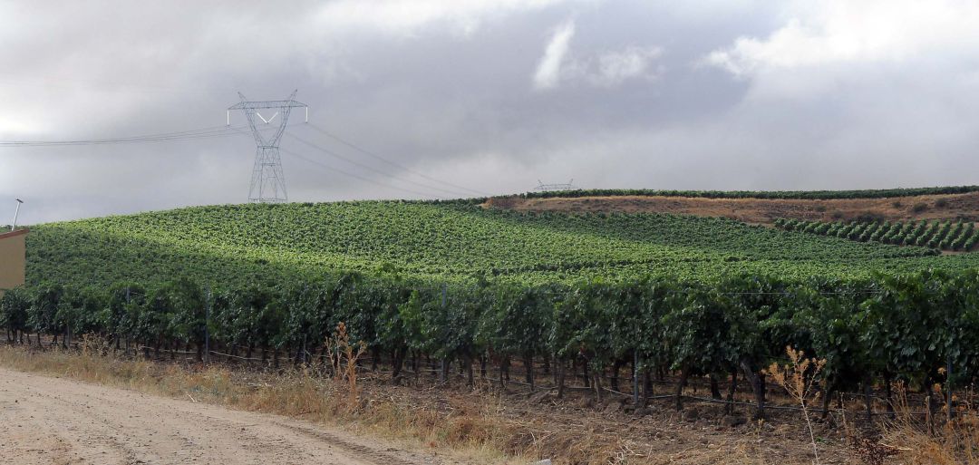 Los agricultores afrontan un futuro marcado por el cambio climático Los agricultores afrontan un futuro marcado por el cambio climático