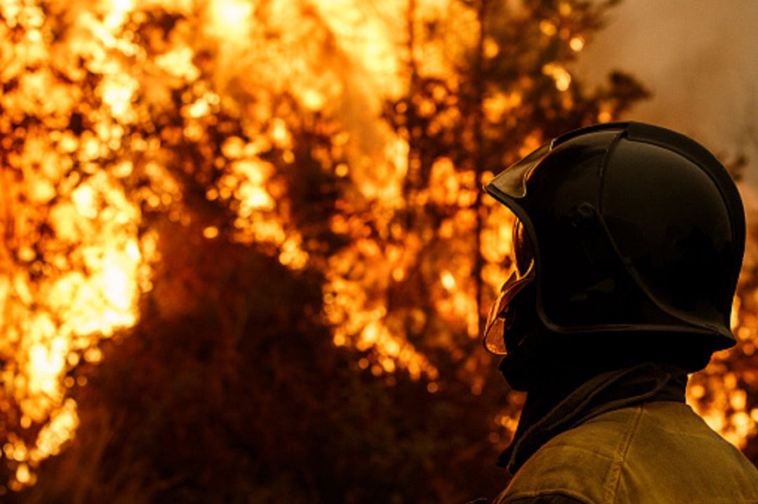 Incendio forestal Incendio forestal