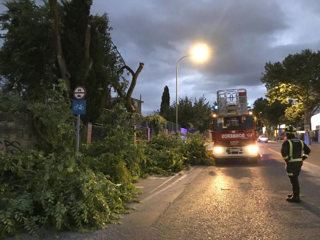 Los bomberos de Úbeda intervienen por la caída de ramas de árboles provocada por el fuerte viento Los bomberos de Úbeda intervienen por la caída de ramas de árboles provocada por el fuerte viento