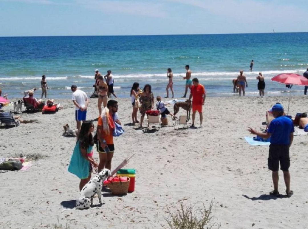 Playa para perros de Pinedo en València Playa para perros de Pinedo en València