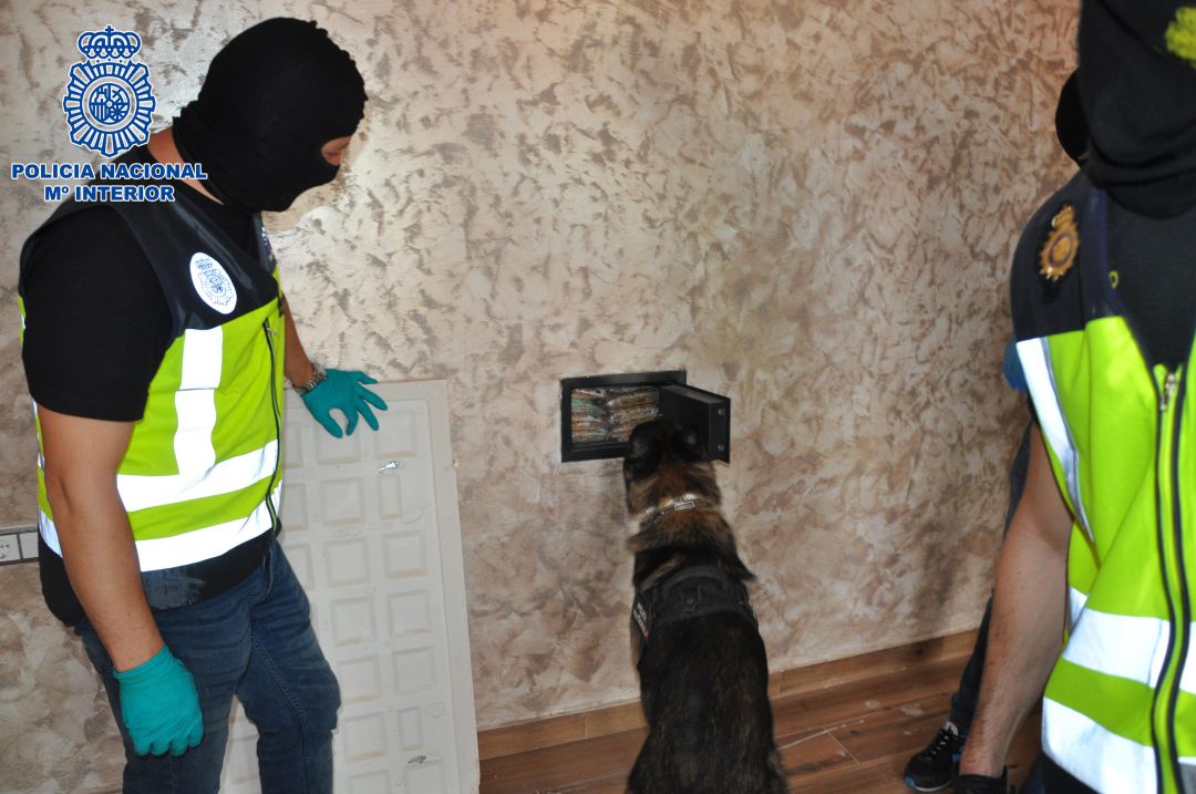 Un perro policía encuentra dinero y droga en una caja fuerte empotrada en una de las viviendas registradas Un perro policía encuentra dinero y droga en una caja fuerte empotrada en una de las viviendas registradas