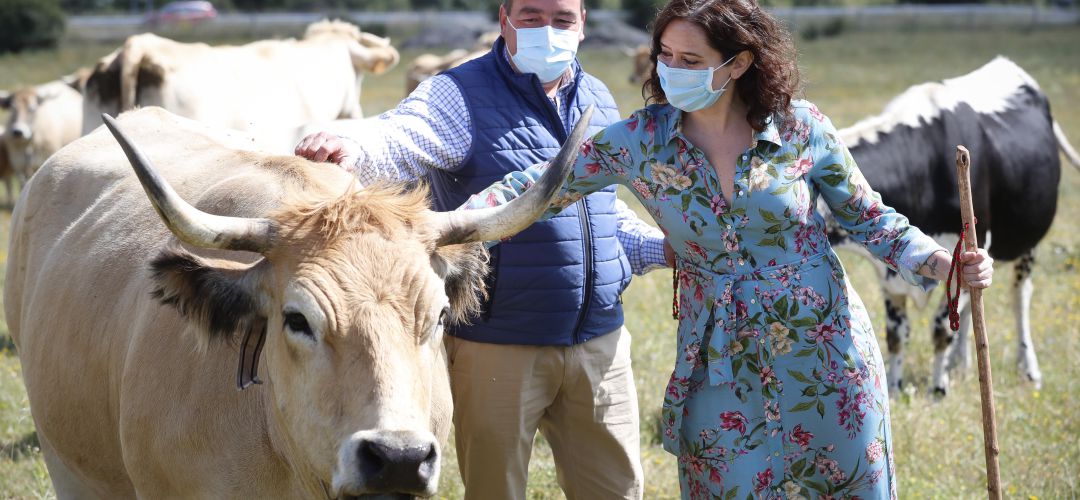 La presidenta madrileña, Isabel Díaz Ayuso, en su visita a Garganta de los Montes La presidenta madrileña, Isabel Díaz Ayuso, en su visita a Garganta de los Montes