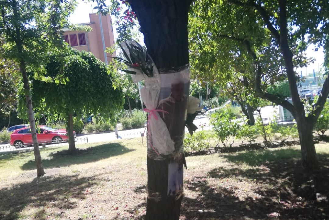 Los árboles de parques de Leganés y Alcorcón sirven de recuerdo y homenaje improvisado para los mayores fallecidos en residencias. Los árboles de parques de Leganés y Alcorcón sirven de recuerdo y homenaje improvisado para los mayores fallecidos en residencias.