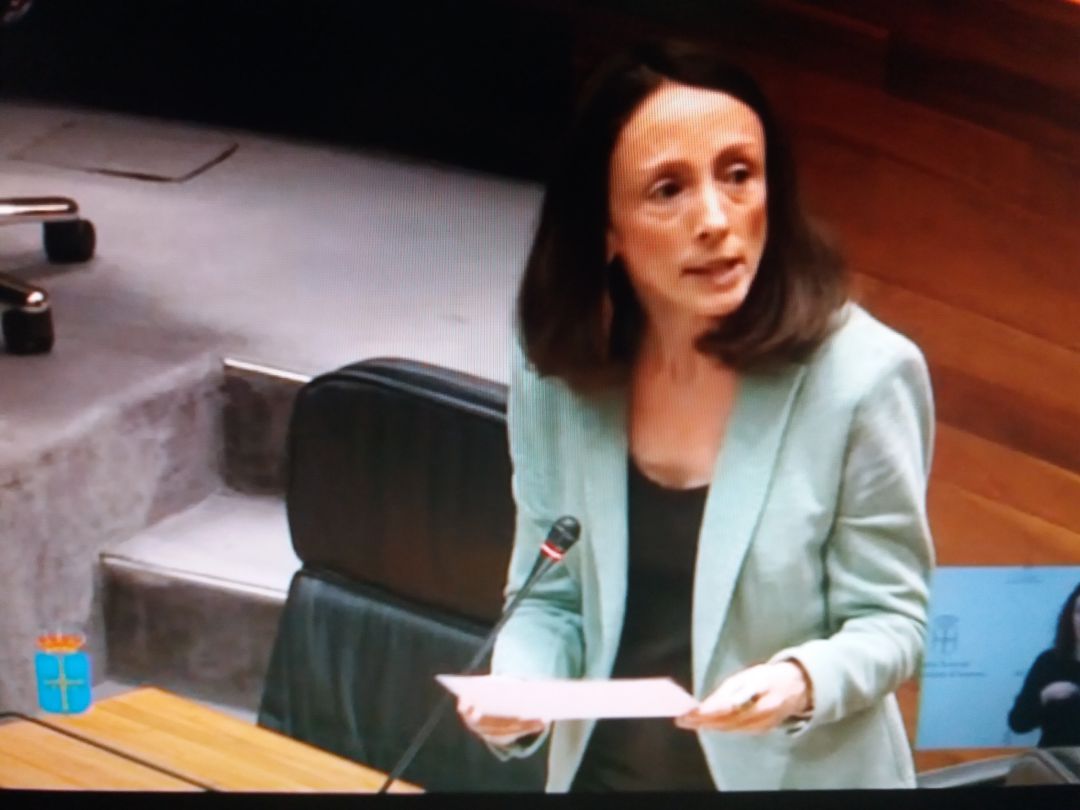 La Consejera de Derechos y Servicios Sociales contesta la pregunta de la diputada de Vox, Sara Álvarez Rouco, en el pleno de la Junta La Consejera de Derechos y Servicios Sociales contesta la pregunta de la diputada de Vox, Sara Álvarez Rouco, en el pleno de la Junta