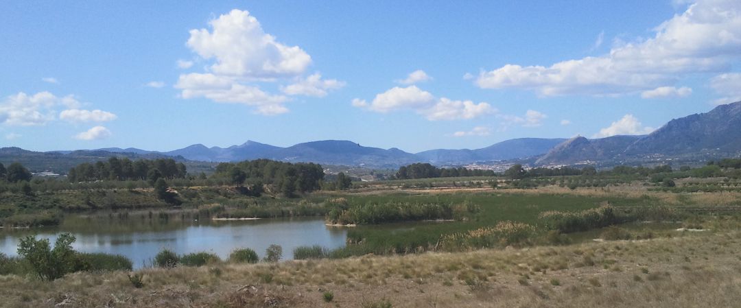 L'Albufera de Gaianes serà un dels destins de les rutes organitzades per la Mancomunitat de L'Alcoià i El Comtat. L'Albufera de Gaianes serà un dels destins de les rutes organitzades per la Mancomunitat de L'Alcoià i El Comtat.