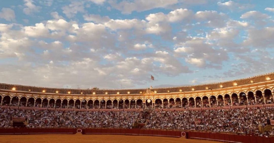 Con la limitación del aforo al 50% es improbable que se puedan dar festejos en la Real Maestranza de Sevilla Con la limitación del aforo al 50% es improbable que se puedan dar festejos en la Real Maestranza de Sevilla
