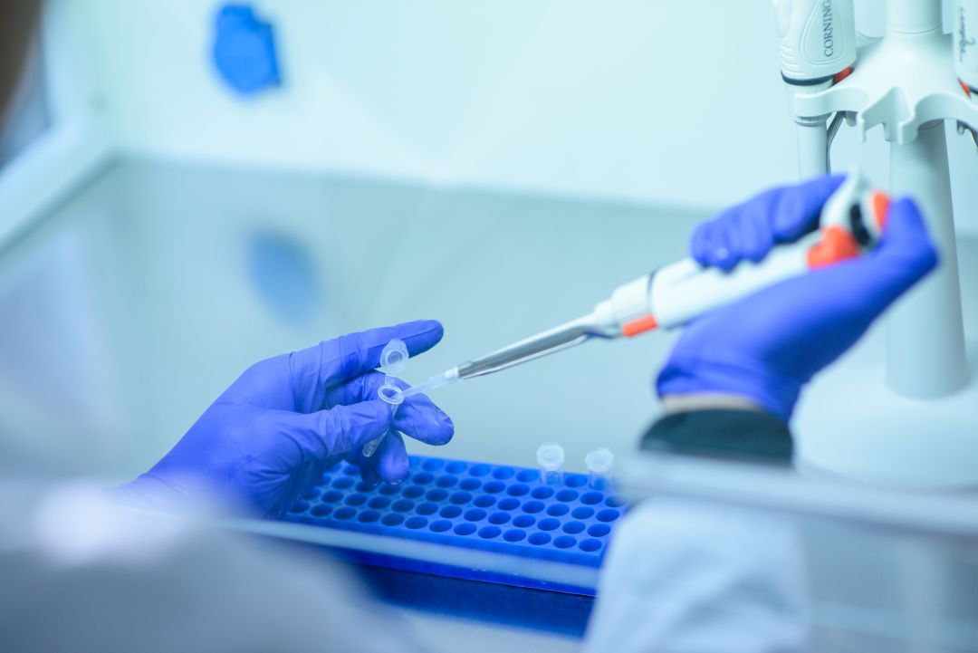 Un proyecto analizará la presencia del virus en las redes de saneamiento. Un proyecto analizará la presencia del virus en las redes de saneamiento.