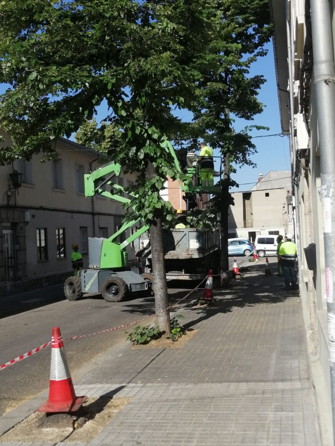 Tala de árboles Tala de árboles