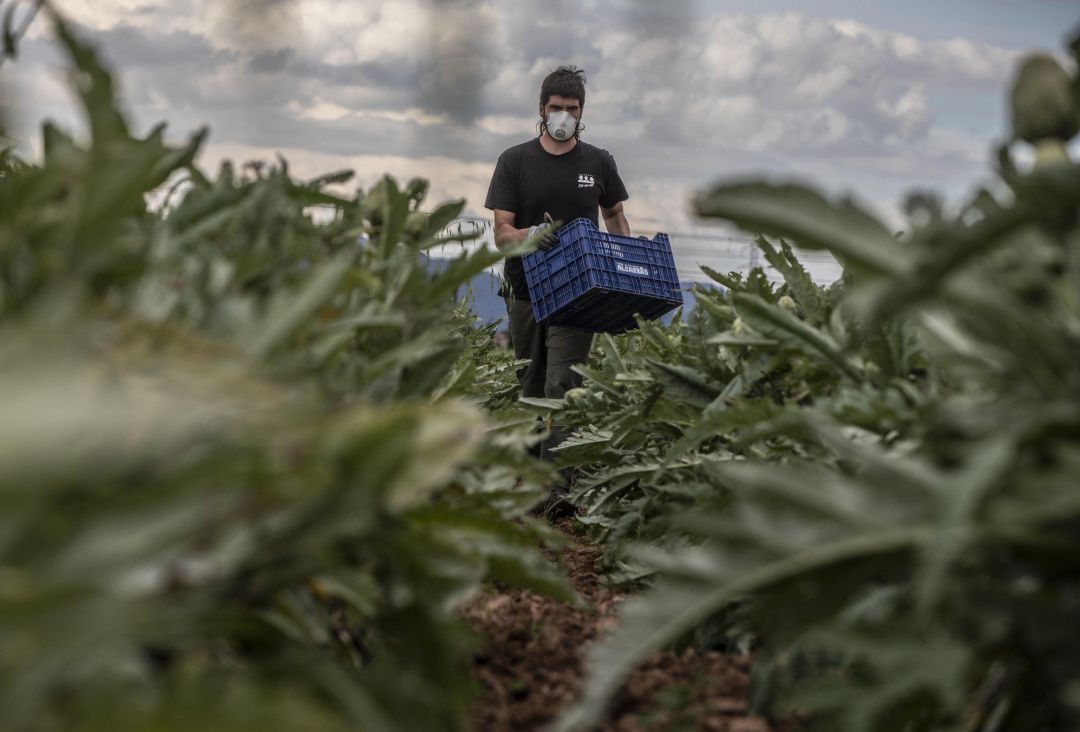 La Agricultura ecológica o la ganadería extensiva, pilares del futuro económico para los ecologistas en la provincia La Agricultura ecológica o la ganadería extensiva, pilares del futuro económico para los ecologistas en la provincia