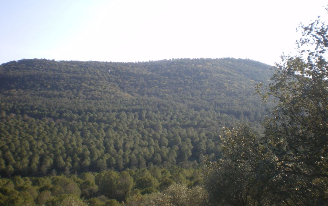 Parte del Monte Palanco incluido en el Parque Natural de Despeñaperros. Parte del Monte Palanco incluido en el Parque Natural de Despeñaperros.