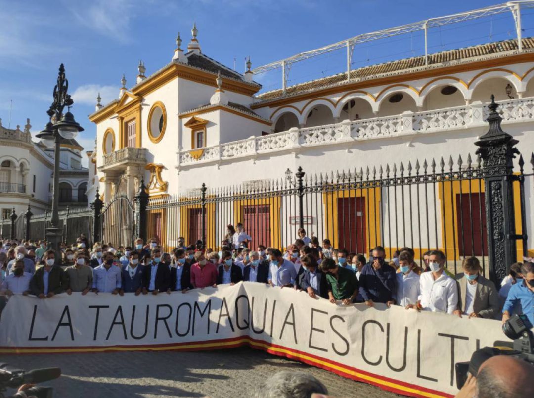 Imagen del inicio del paseo en defensa de la Fiesta de los Toros celebrado en Sevilla el pasado día 13 de junio Imagen del inicio del paseo en defensa de la Fiesta de los Toros celebrado en Sevilla el pasado día 13 de junio