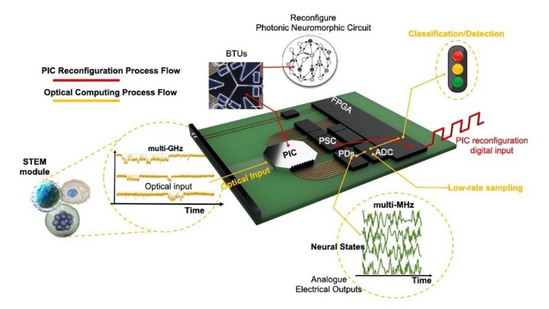 La UPV trabaja en el desarrollo de un chip fotónico que podría ayudar a detectar células cancerosas La UPV trabaja en el desarrollo de un chip fotónico que podría ayudar a detectar células cancerosas