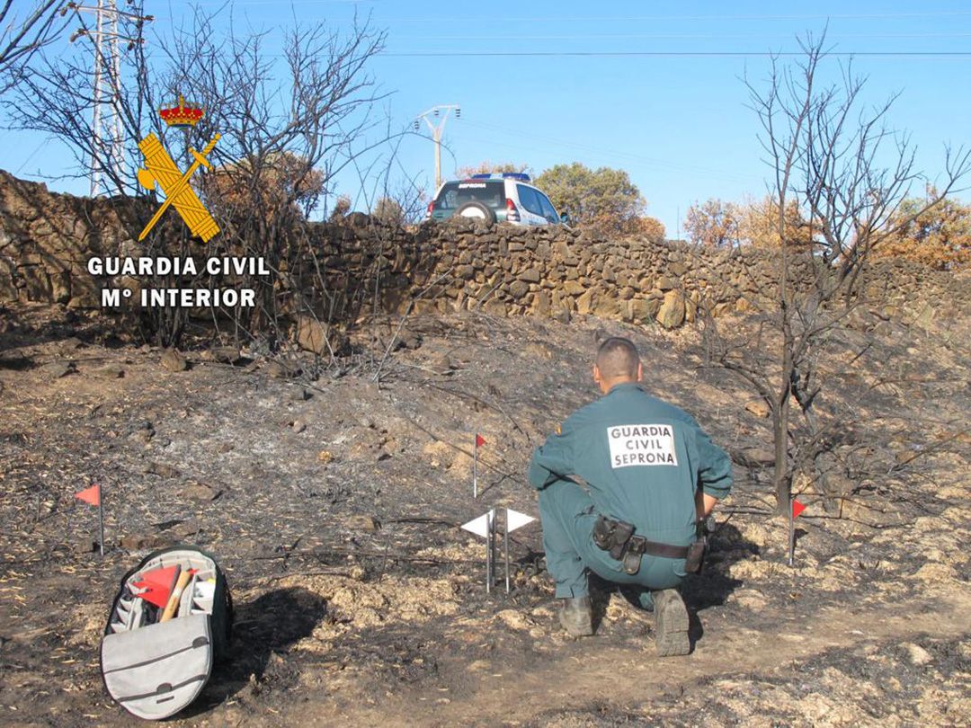Agentes del Seprona analiza la zona de origen del incendio Agentes del Seprona analiza la zona de origen del incendio
