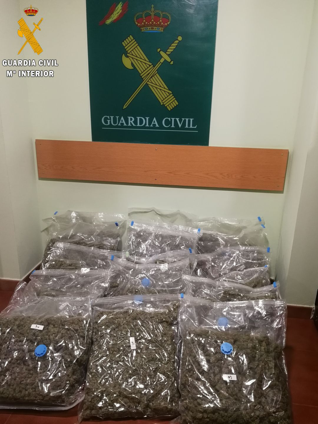 La Guardia Civil detiene a un hombre en el Espinar con 18 kilos de marihuana La Guardia Civil detiene a un hombre en el Espinar con 18 kilos de marihuana