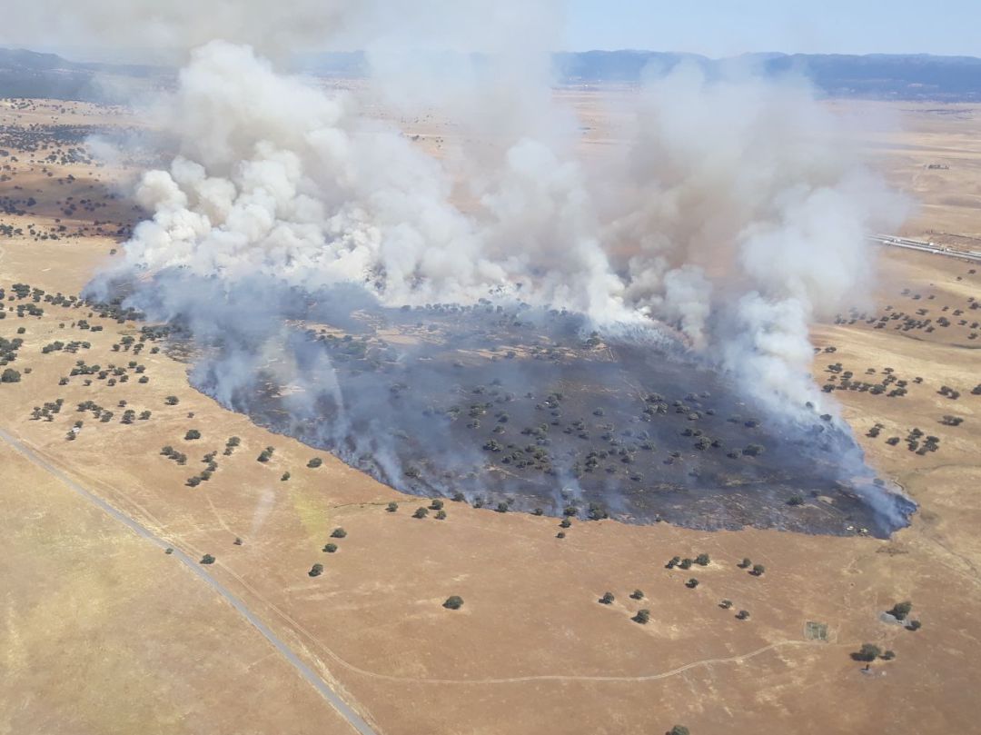 Imagen del incendio registrado este domingo en Almódovar del Campo Imagen del incendio registrado este domingo en Almódovar del Campo