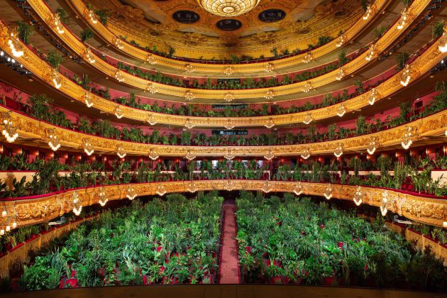 El artista Eugenio Ampudia da un concierto en el Liceu para un público de 2.292 plantas. El artista Eugenio Ampudia da un concierto en el Liceu para un público de 2.292 plantas.