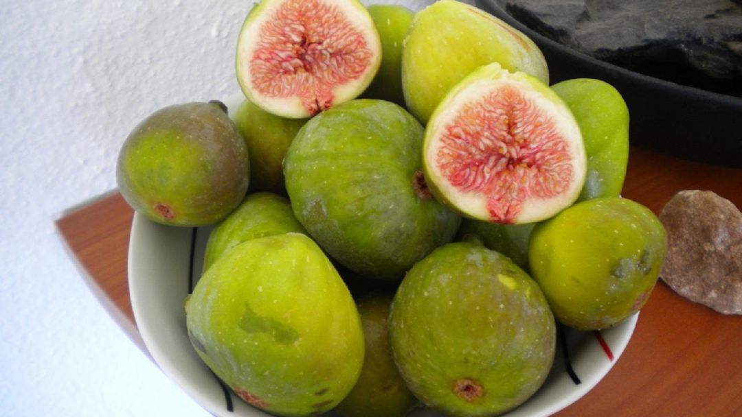 Las brevas son un exquisito manjar que se produce en grandes cantidades en la localidad jiennense de Jimena Las brevas son un exquisito manjar que se produce en grandes cantidades en la localidad jiennense de Jimena
