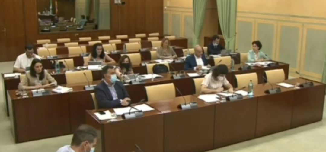 Comisión de Hacienda, Industria y Energía (24 de junio de 2020). Comisión de Hacienda, Industria y Energía (24 de junio de 2020).