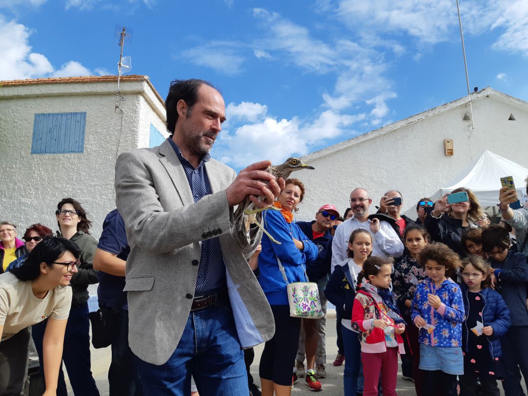 L'ontinyentí Fran Quesada L'ontinyentí Fran Quesada