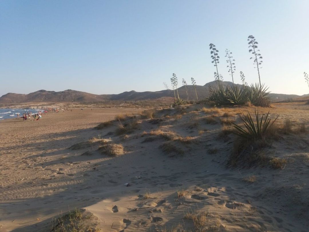 Zona de Los Genoveses en el Parque Natural de Cabo de Gata-Níjar. Zona de Los Genoveses en el Parque Natural de Cabo de Gata-Níjar.