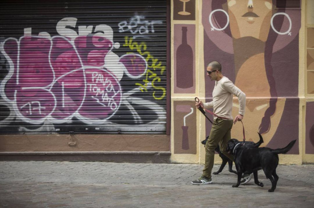 Hombre paseando a sus perros Hombre paseando a sus perros