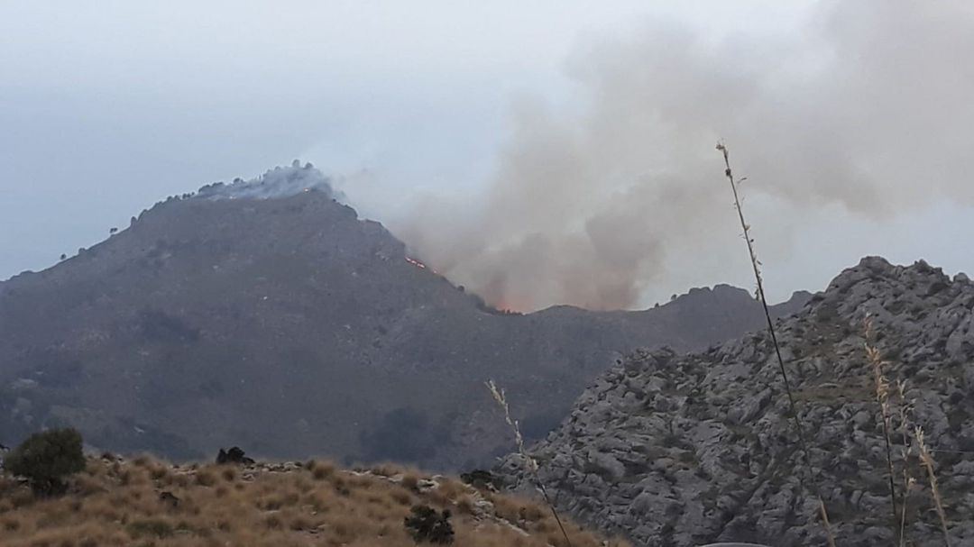 Incendio forestal en la Serra de Tramuntana Incendio forestal en la Serra de Tramuntana