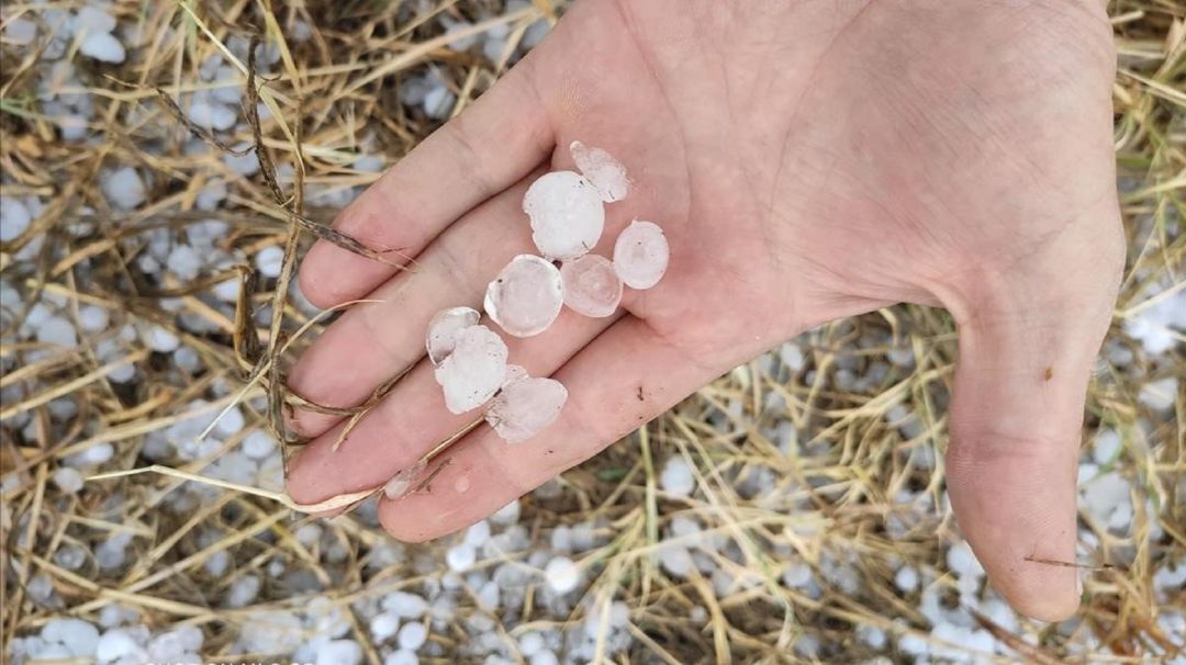 La última tormenta de granizo ha afectado especialmente a la zona limítrofe con Ávila, San Pedo de Gaillos, Condado de Castilnovo y Boceguillas La última tormenta de granizo ha afectado especialmente a la zona limítrofe con Ávila, San Pedo de Gaillos, Condado de Castilnovo y Boceguillas