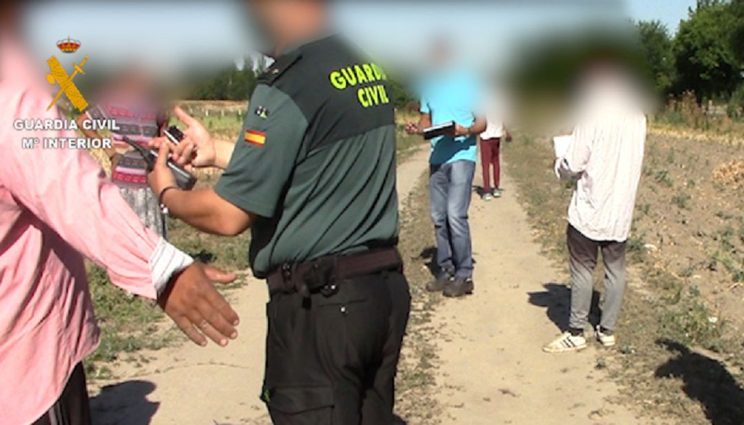 La Benemérita, al pedir la documentación de los temporeros, comprobaron que no estaban dados de alta en la Seguridad Social La Benemérita, al pedir la documentación de los temporeros, comprobaron que no estaban dados de alta en la Seguridad Social