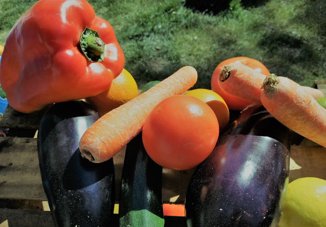 Productos de la huerta Productos de la huerta