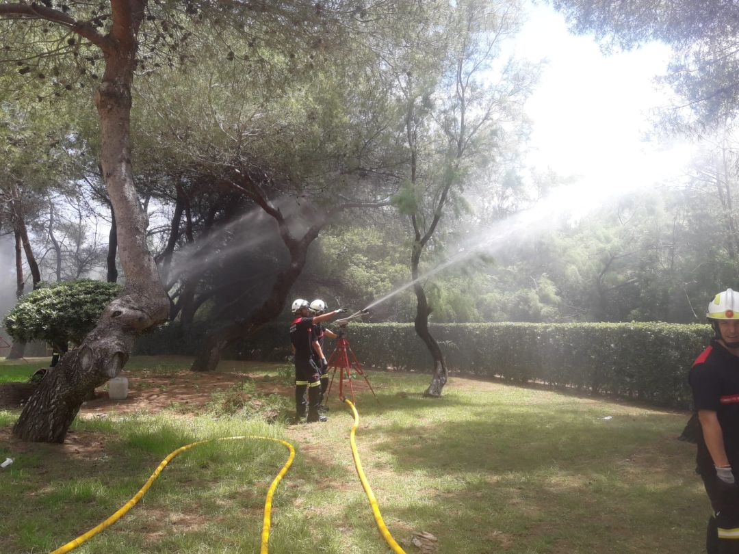 Bomberos del Ayuntamiento de València inicia una campaña de defensa contra incendios en la Devesa para aumentar la protección de la población Bomberos del Ayuntamiento de València inicia una campaña de defensa contra incendios en la Devesa para aumentar la protección de la población