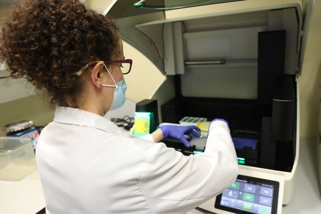 Una bióloga del Centro de Biología Molecular Severo Ochoa en el Campus de Cantoblanco de la Universidad Autónoma trabaja con un PCR digital robot formador de gotas. Una bióloga del Centro de Biología Molecular Severo Ochoa en el Campus de Cantoblanco de la Universidad Autónoma trabaja con un PCR digital robot formador de gotas.