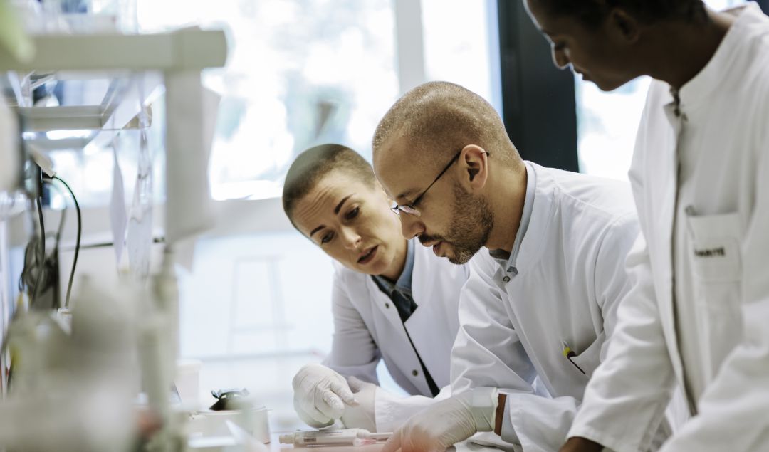 La precariedad de la investigación científica La precariedad de la investigación científica
