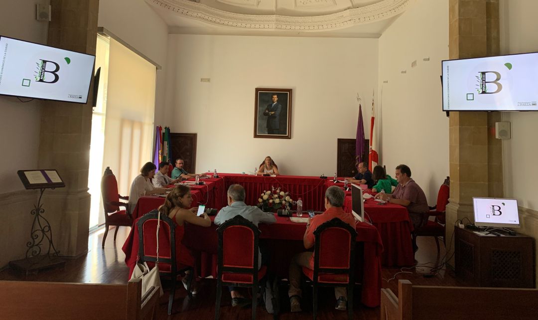 Un momento de la reunión celebrada en el Ayuntamiento de Baeza con la alcaldesa, Lola Marín, en el centro. Un momento de la reunión celebrada en el Ayuntamiento de Baeza con la alcaldesa, Lola Marín, en el centro.