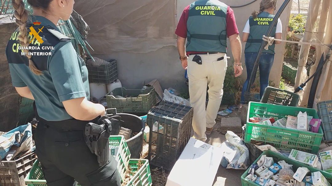 Zona donde se produjo la doble agresión sexual, en la playa de Vargas, en Gran Canaria Zona donde se produjo la doble agresión sexual, en la playa de Vargas, en Gran Canaria