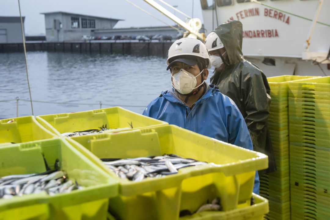 El stock de anchoa ha registrado su máximo histórico en el Golfo de Vizcaya, con una biomasa estimada de 330.000 toneladas, según los datos de la última campaña Bioman impulsada por el centro de investigación Azti. El stock de anchoa ha registrado su máximo histórico en el Golfo de Vizcaya, con una biomasa estimada de 330.000 toneladas, según los datos de la última campaña Bioman impulsada por el centro de investigación Azti.