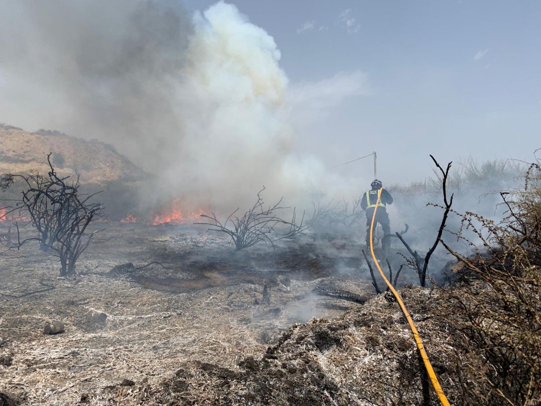 Sofocado un incendio en el Cocón, en Aguilas Sofocado un incendio en el Cocón, en Aguilas