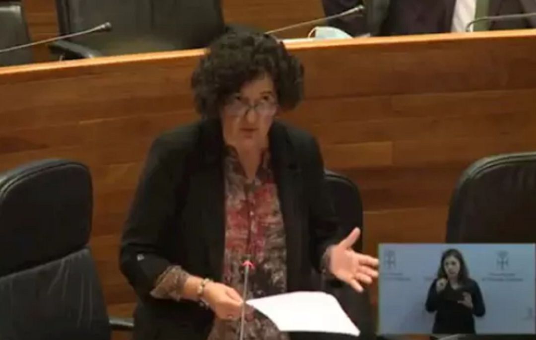 La Consejera de Cultura, Berta Piñán, en una intervención en la Junta General del Principado La Consejera de Cultura, Berta Piñán, en una intervención en la Junta General del Principado