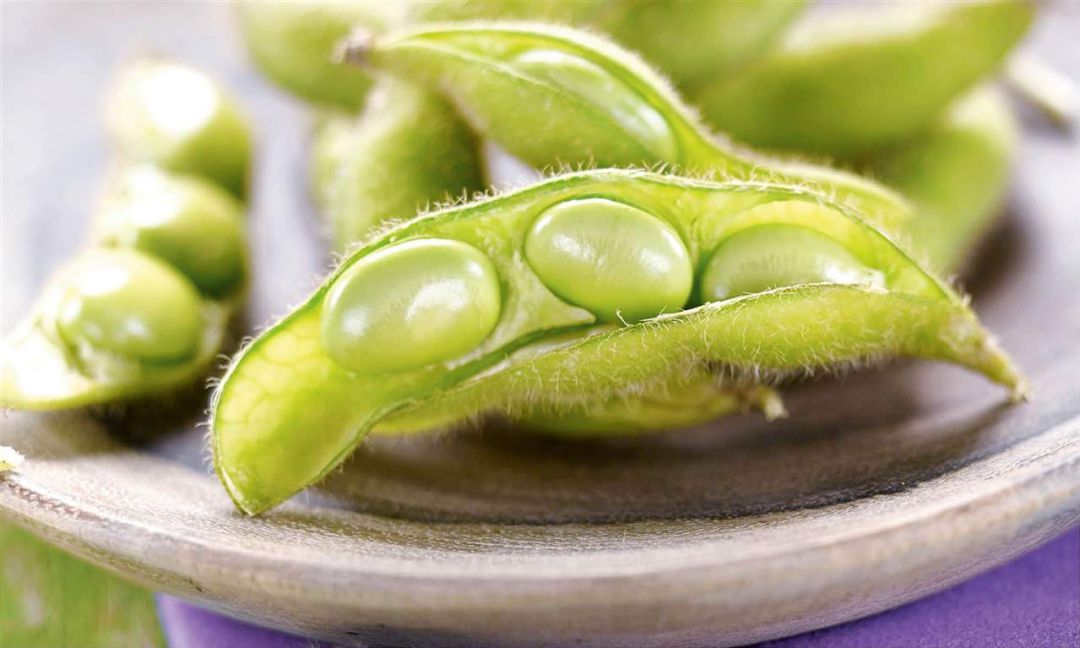 Un grupo de investigadores de la Universidad del País Vasco ha demostrado que subproductos naturales de la industria alimentaria, normalmente desechados en los procesos industriales, pueden ser una excelente fuente de biomateriales para producir dispositivos biomédicos. Un grupo de investigadores de la Universidad del País Vasco ha demostrado que subproductos naturales de la industria alimentaria, normalmente desechados en los procesos industriales, pueden ser una excelente fuente de biomateriales para producir dispositivos biomédicos.