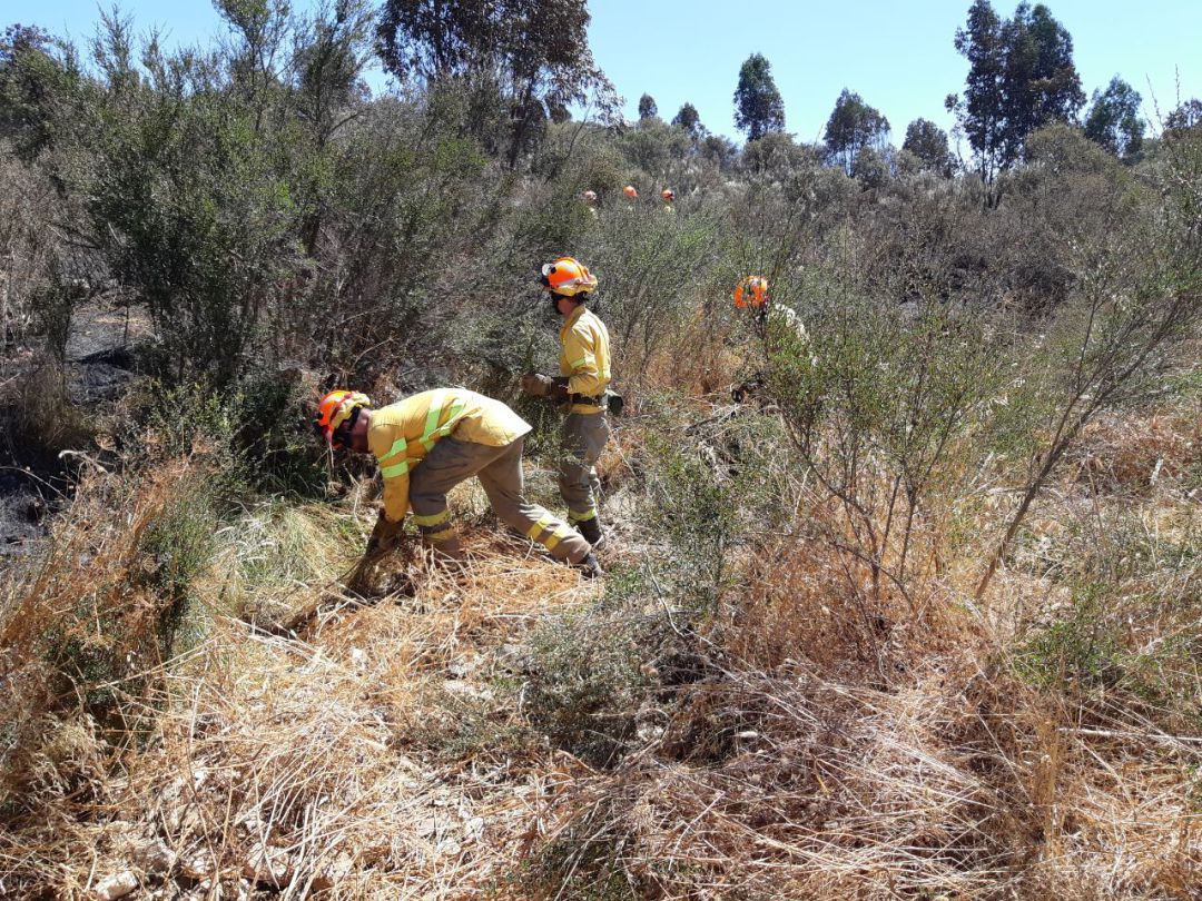 Retenes terrestres trabajan en el incendio de Zarza la Mayor Retenes terrestres trabajan en el incendio de Zarza la Mayor