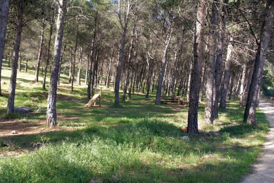 Las zonas verdes de Jaén y alrededores podrían convertirse en un futuro no muy lejano en un nuevo Parque Natural en la provincia Las zonas verdes de Jaén y alrededores podrían convertirse en un futuro no muy lejano en un nuevo Parque Natural en la provincia