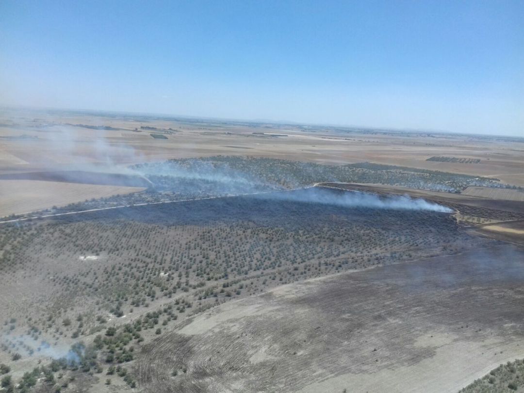 Zona afectada por el incendio Zona afectada por el incendio