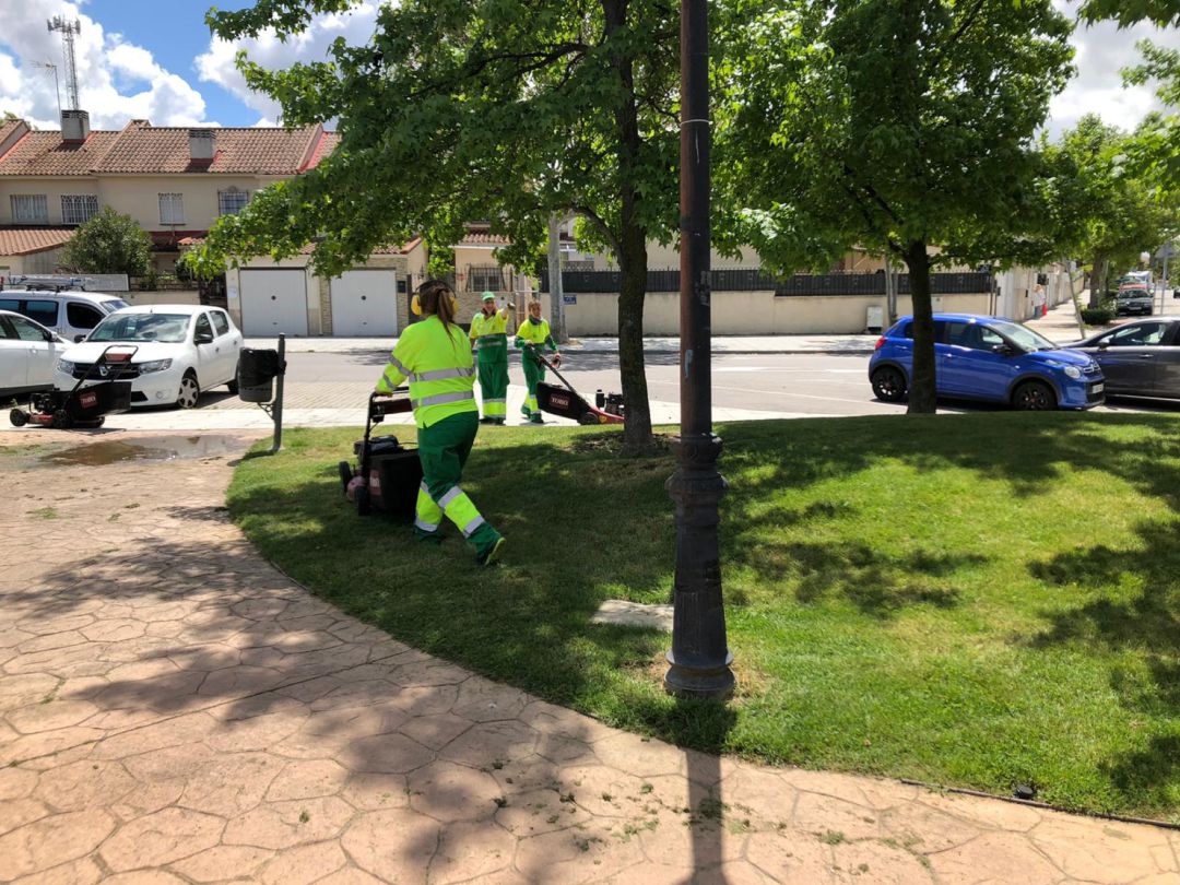 Trabajadores del servicio de manteniminento y conservación de zonas verdes de Arroyomolinos Trabajadores del servicio de manteniminento y conservación de zonas verdes de Arroyomolinos