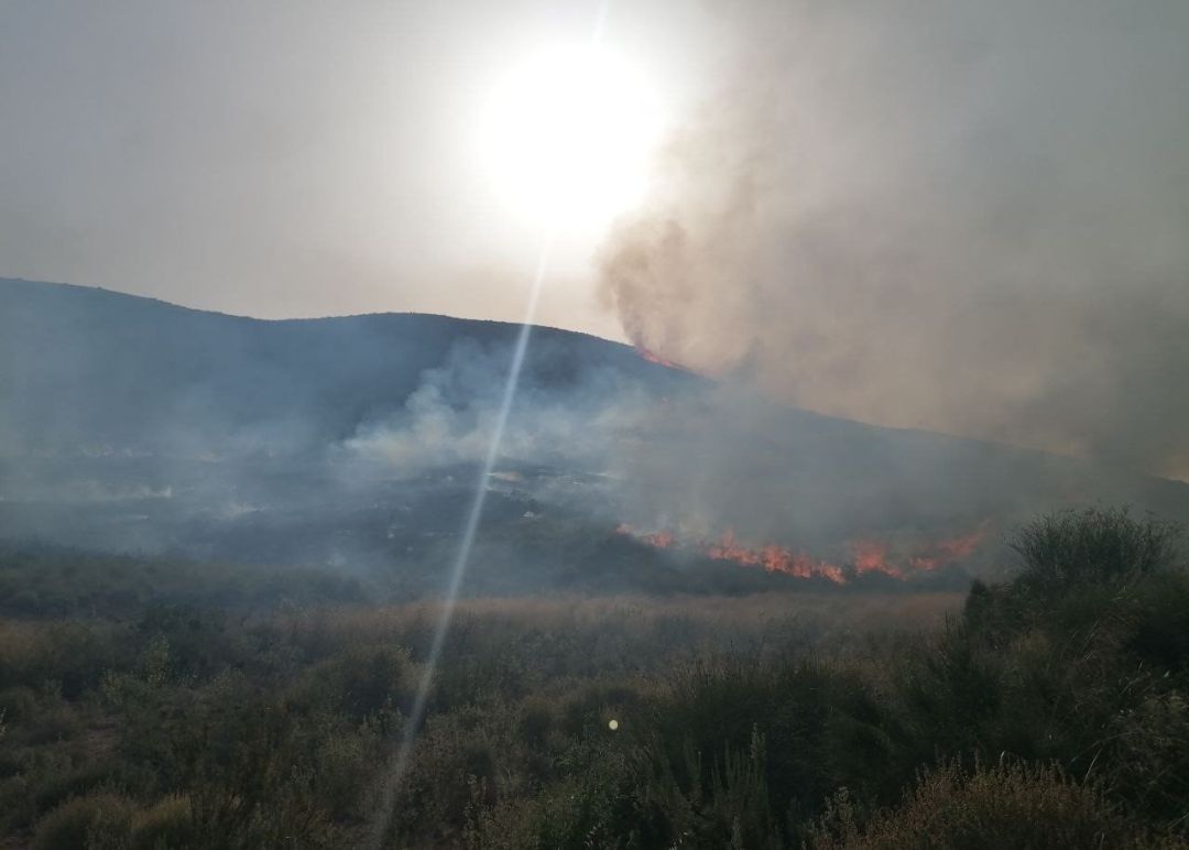 Servicios de emergencia trabajan en la extinción de un incendio en Fuente Álamo . Servicios de emergencia trabajan en la extinción de un incendio en Fuente Álamo .