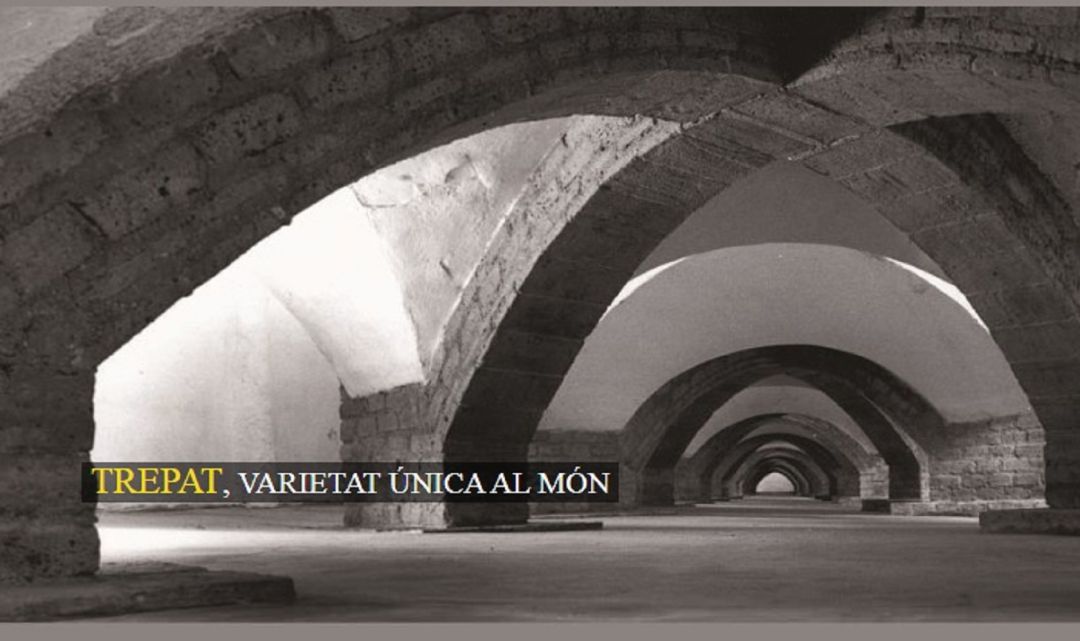 Imatge del web de Cava Portell Imatge del web de Cava Portell