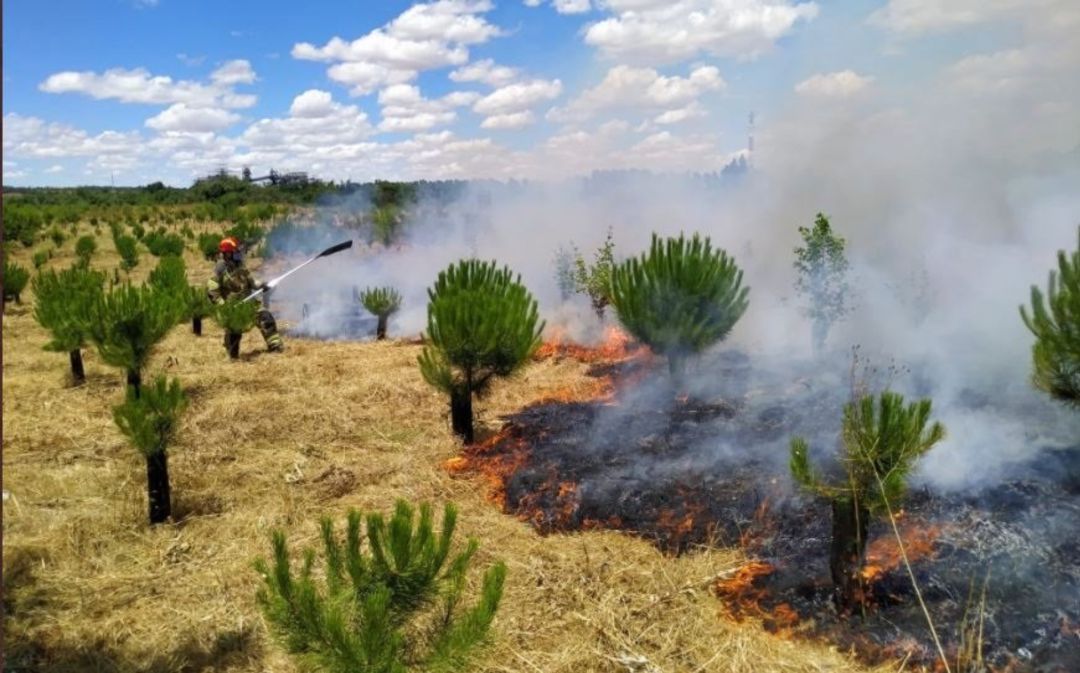 Incendio en el Bosque de los Sueños Incendio en el Bosque de los Sueños