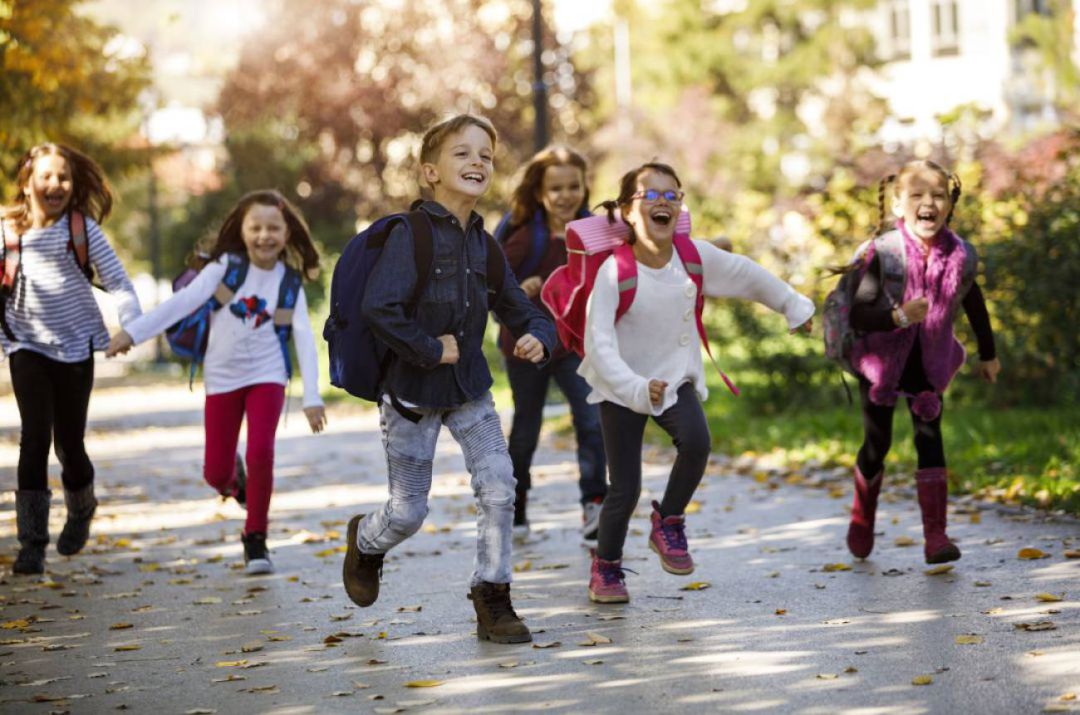 Vuelta al cole Vuelta al cole