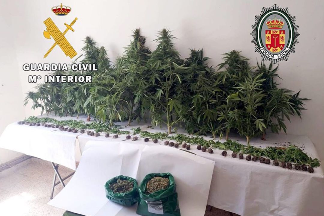 Marihuana incautada en Alcalá la Real. Marihuana incautada en Alcalá la Real.