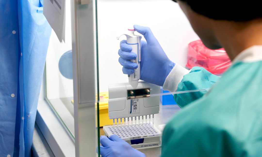 'RealTime Laboratories' prepara muestras para curar la Covid-19. 'RealTime Laboratories' prepara muestras para curar la Covid-19.