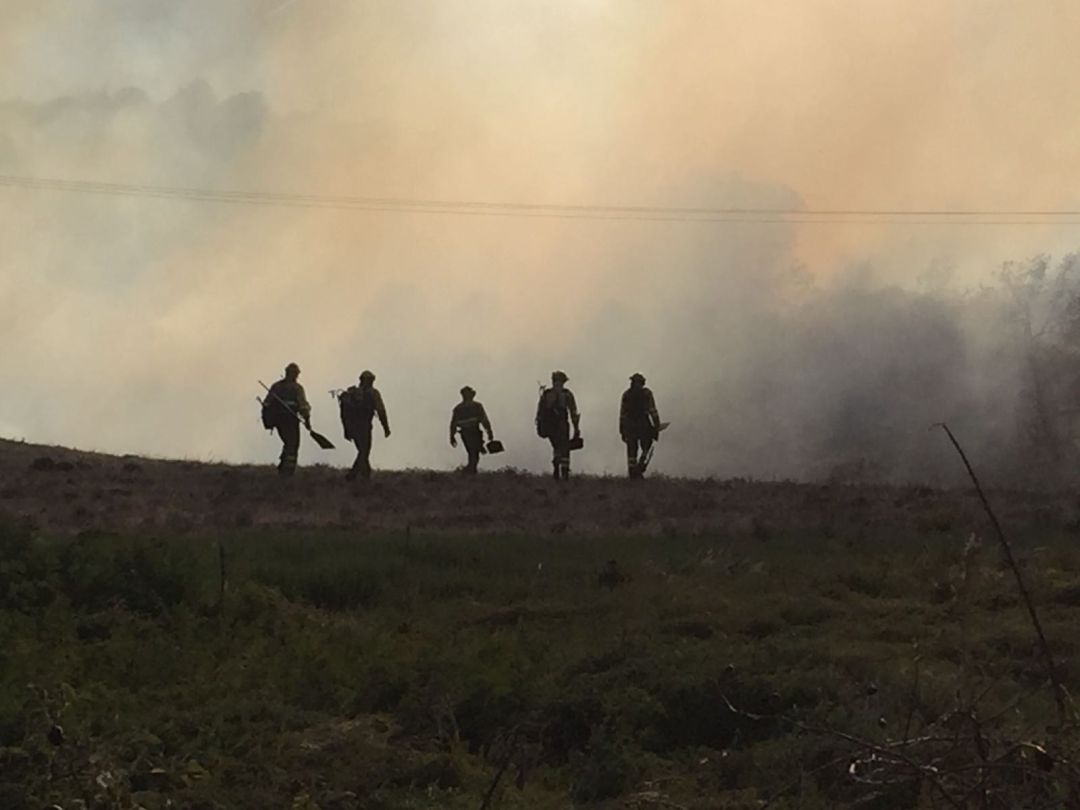 La semana empieza sin incendios, después de que se hayan sofocado los de los últimos días La semana empieza sin incendios, después de que se hayan sofocado los de los últimos días