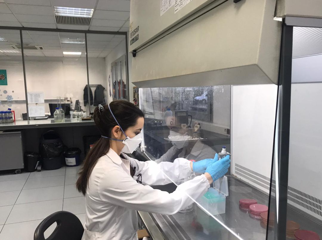 Las muestras se analizan en los laboratorios de Gamaser, de Global Omnium Las muestras se analizan en los laboratorios de Gamaser, de Global Omnium